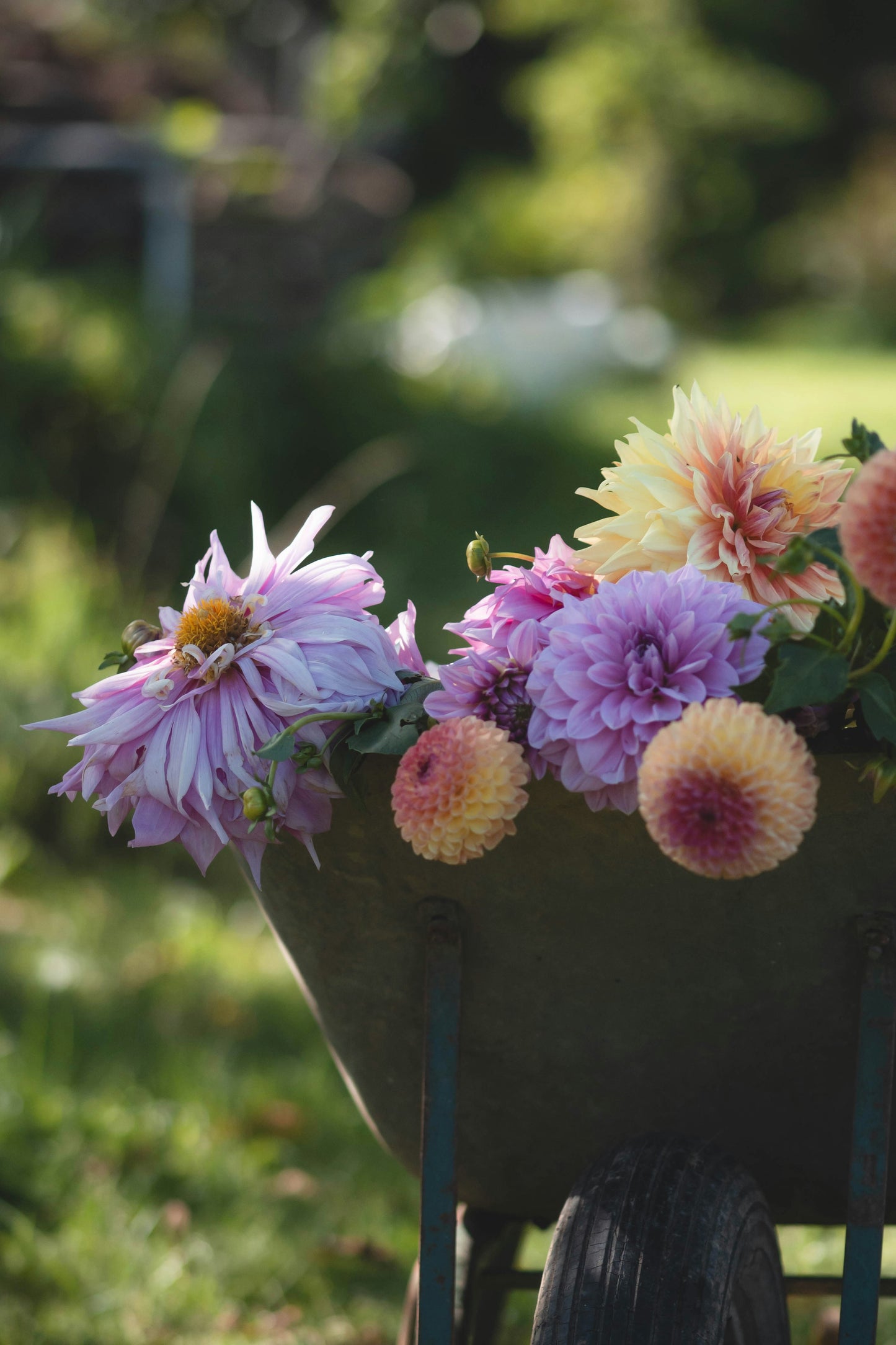 DIY Flower Bucket